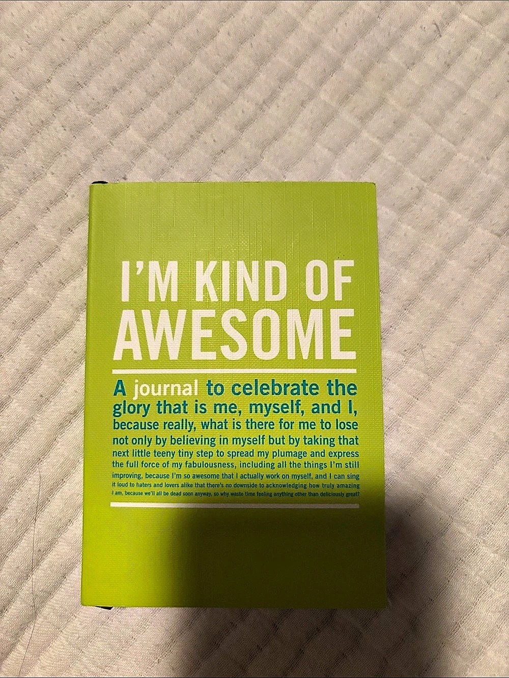 Knock I'm Kind of Awesome Mini Inner-Truth Journal Green